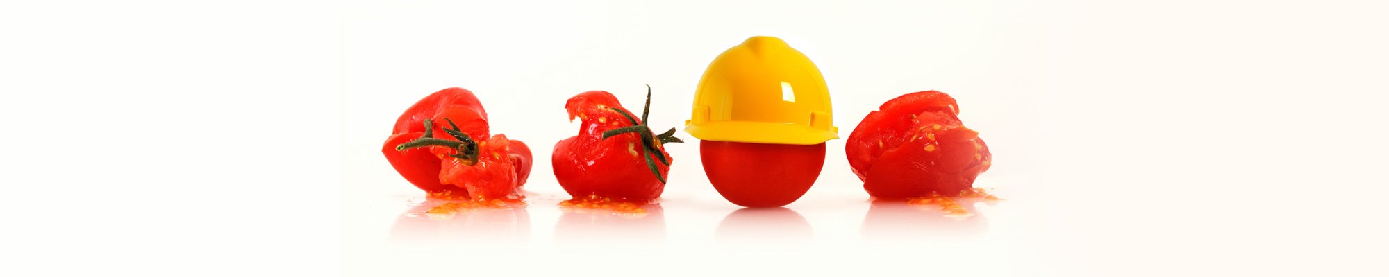 Food Safety Banner Image
